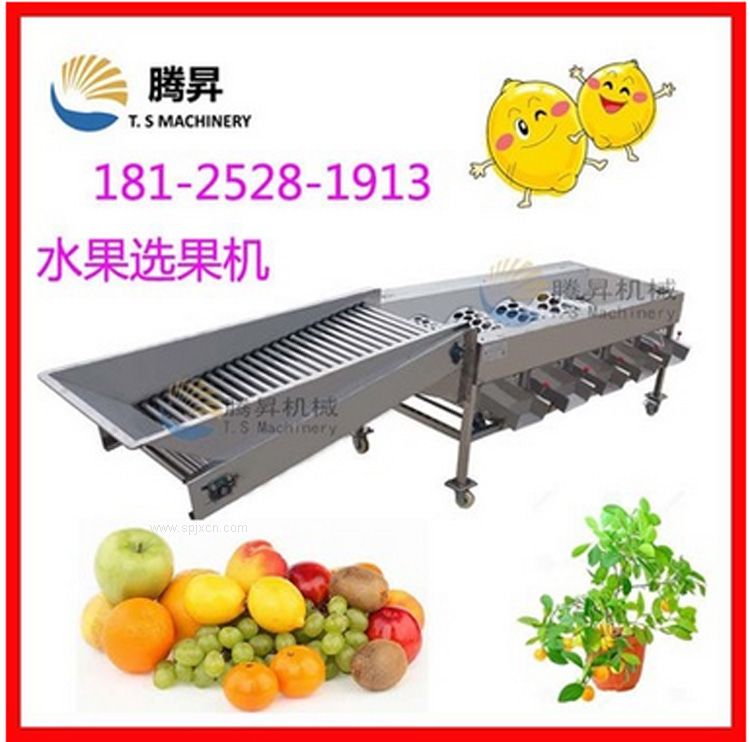 供應蘋(píng)果分選機 蘋(píng)果篩選機